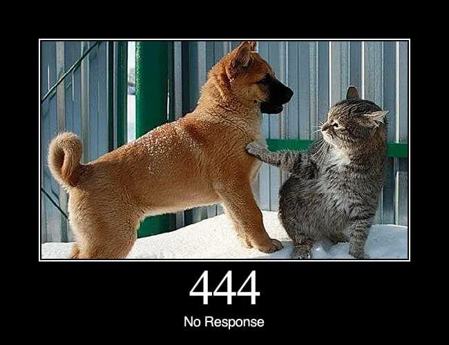 HTTP Status Meme Pages